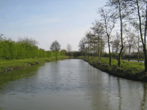 Derwent Lake at Makins.gif